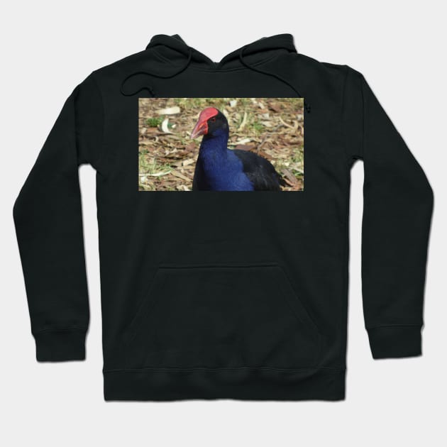 Purple Swamphen Hoodie by KaSaPo